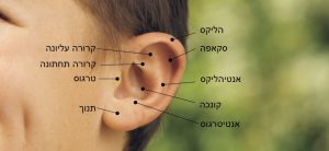 ניתוח הצמדת אוזניים עם ד"ר אולשינקה - בואו להבין וללמוד כיצד מתבצע ההליך